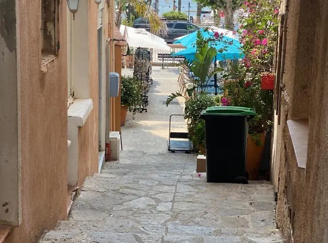 Apartman T2 Coquet Plein Centre Vue Mer Exceptionnelle.